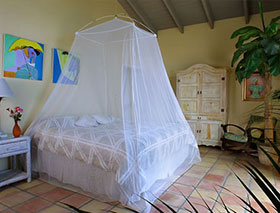 Mosquito net over bed Mosquito net over bed